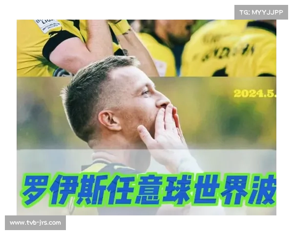 罗伊斯“潜入”威斯特法伦观众席，观看多特比赛